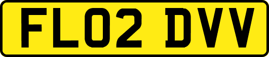 FL02DVV