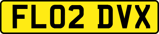 FL02DVX
