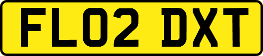FL02DXT