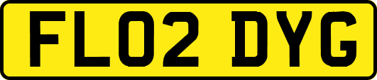FL02DYG