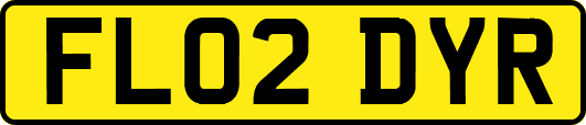 FL02DYR