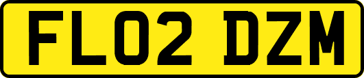 FL02DZM