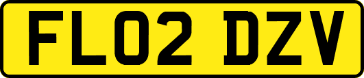 FL02DZV