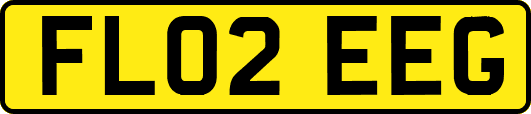 FL02EEG
