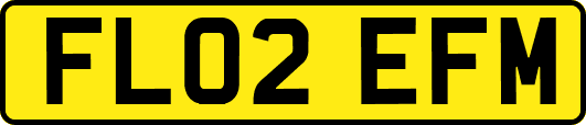 FL02EFM