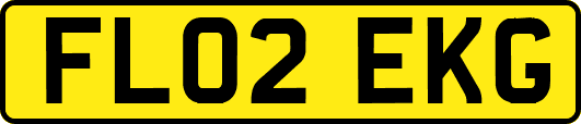 FL02EKG