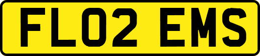 FL02EMS