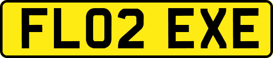 FL02EXE