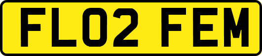 FL02FEM