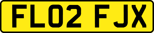 FL02FJX