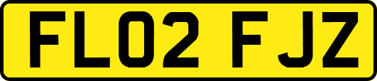 FL02FJZ