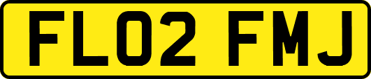 FL02FMJ
