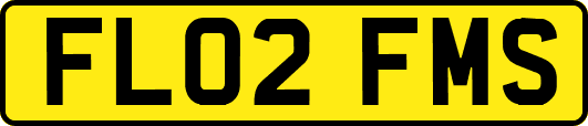 FL02FMS