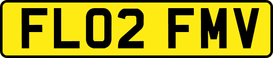FL02FMV