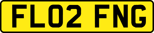 FL02FNG