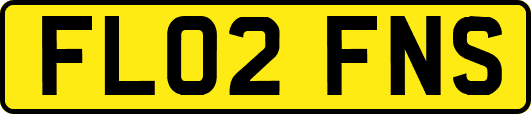 FL02FNS