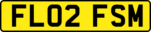 FL02FSM
