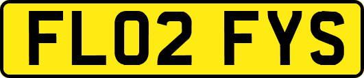 FL02FYS
