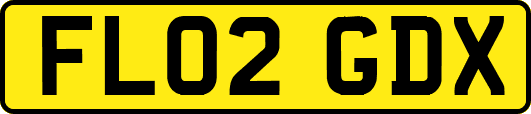 FL02GDX