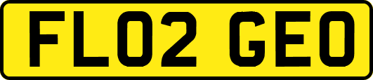 FL02GEO