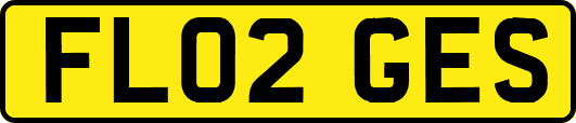 FL02GES