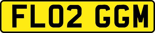 FL02GGM