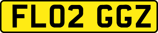 FL02GGZ