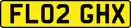 FL02GHX