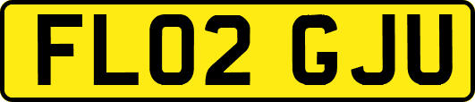 FL02GJU