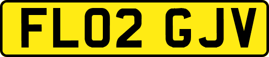 FL02GJV