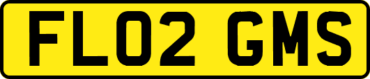 FL02GMS