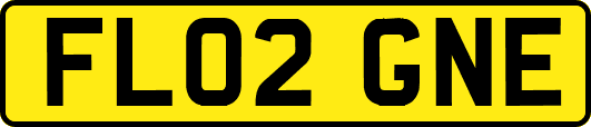 FL02GNE