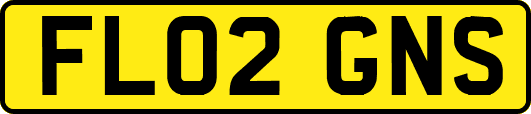 FL02GNS