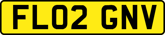 FL02GNV