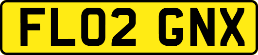 FL02GNX
