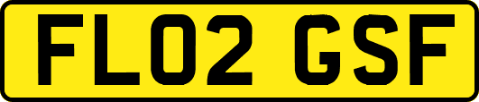 FL02GSF