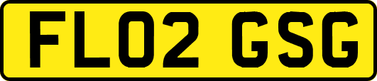 FL02GSG