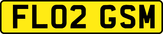 FL02GSM
