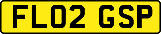 FL02GSP