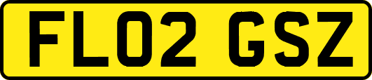 FL02GSZ