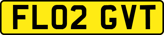 FL02GVT