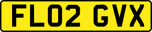 FL02GVX
