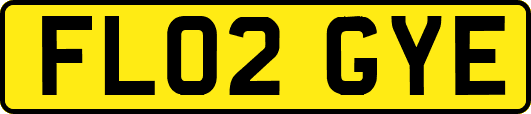 FL02GYE