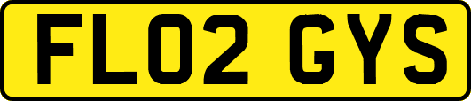 FL02GYS