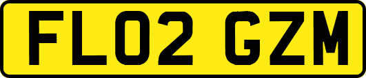 FL02GZM