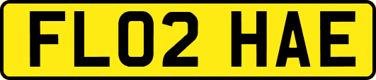 FL02HAE