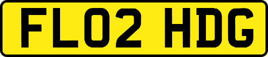 FL02HDG