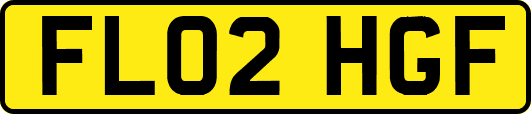 FL02HGF