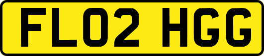 FL02HGG