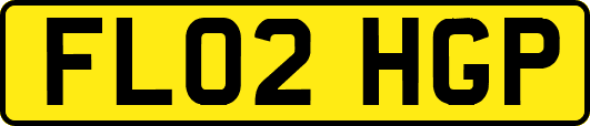 FL02HGP